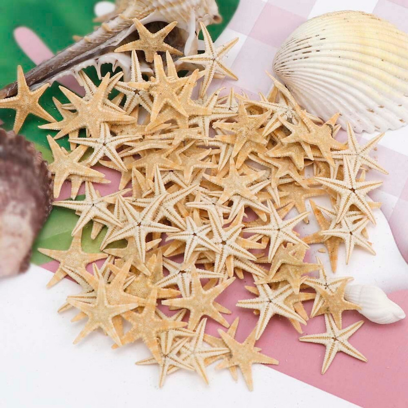1 doboz természetes tengeri csillag Seashell Beach Craft Természetes tengeri csillagok DIY Beach Esküvői Dekoráció Kézműves Otthoni Dekoráció Epoxi 1-5 cm