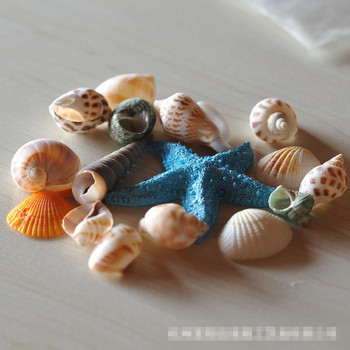 1 чанта аквариум декорация на цветна черупка на мида естествена декорация на черупка Направи си сам комбинация от малка декорация морска раковина