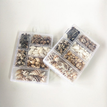 Hot new 200Pcs/Box Natural Conch Shells Conch Corn Screw Διακόσμηση τοίχου DIY Ενυδρείο Landscape Seashells Crafts party factory