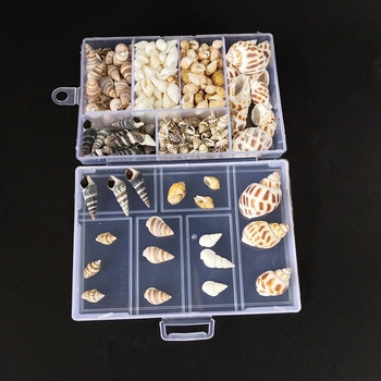 Hot new 200Pcs/Box Natural Conch Shells Conch Corn Screw Διακόσμηση τοίχου DIY Ενυδρείο Landscape Seashells Crafts party factory