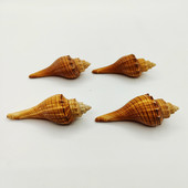 Cochilii de crab pustnic Cochilii de torță de melci colecție de melci cadou Decor pentru casa Jucării pentru copii