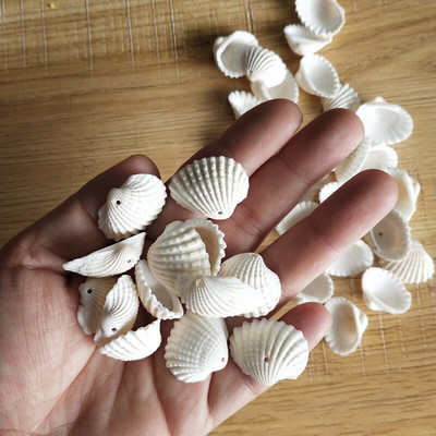 100 gab. ķemmīšgliemeņu apvalks Dabīgs jūras gliemežvāks no Sea Beach Liels gliemežvāks ar caurumiem DIY mākslas amatniecības dekoriem, jaukts krāsains