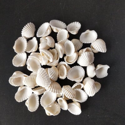 100 gab. ķemmīšgliemeņu apvalks Dabīgs jūras gliemežvāks no Sea Beach Liels gliemežvāks ar caurumiem DIY mākslas amatniecības dekoriem, jaukts krāsains