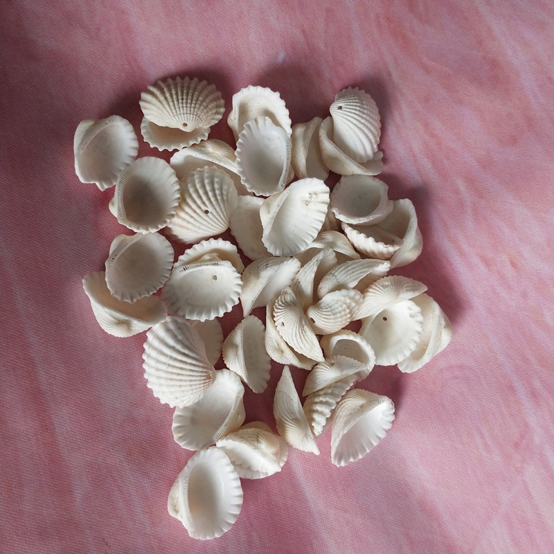 100 gab. ķemmīšgliemeņu apvalks Dabīgs jūras gliemežvāks no Sea Beach Liels gliemežvāks ar caurumiem DIY mākslas amatniecības dekoriem, jaukts krāsains