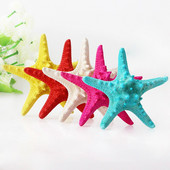 Színes kagylók Tengeri tengeri kagylók Természetes kagylótartályok Tereprendezés Platform Kreatív Falimatricák Fényképészeti Díszek Óceán