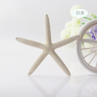 Színes kagylók Tengeri tengeri kagylók Természetes kagylótartályok Tereprendezés Platform Kreatív Falimatricák Fényképészeti Díszek Óceán