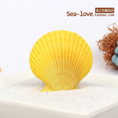 Színes kagylók Tengeri tengeri kagylók Természetes kagylótartályok Tereprendezés Platform Kreatív Falimatricák Fényképészeti Díszek Óceán