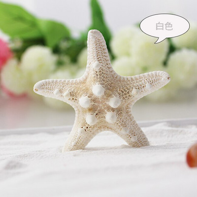 Színes kagylók Tengeri tengeri kagylók Természetes kagylótartályok Tereprendezés Platform Kreatív Falimatricák Fényképészeti Díszek Óceán