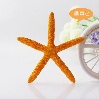 Színes kagylók Tengeri tengeri kagylók Természetes kagylótartályok Tereprendezés Platform Kreatív Falimatricák Fényképészeti Díszek Óceán