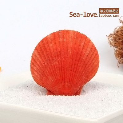 Színes kagylók Tengeri tengeri kagylók Természetes kagylótartályok Tereprendezés Platform Kreatív Falimatricák Fényképészeti Díszek Óceán