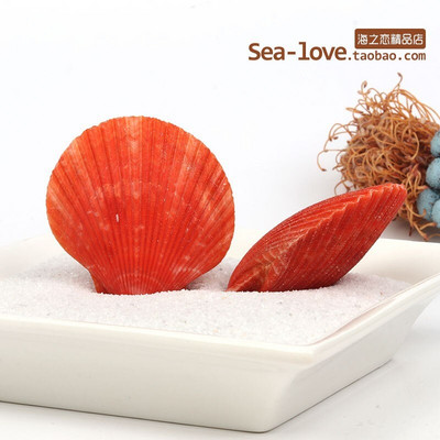 Színes kagylók Tengeri tengeri kagylók Természetes kagylótartályok Tereprendezés Platform Kreatív Falimatricák Fényképészeti Díszek Óceán