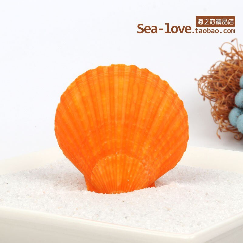 Színes kagylók Tengeri tengeri kagylók Természetes kagylótartályok Tereprendezés Platform Kreatív Falimatricák Fényképészeti Díszek Óceán