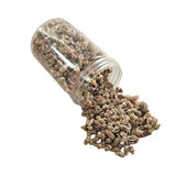 1 kutija 1000 komada Perle od prirodne bež školjke morske školjke Izrada Cowry Cowrie Plemenski nakit Zanatski dodaci morska zvijezda