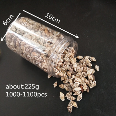 1 kutija 1000 komada Perle od prirodne bež školjke morske školjke Izrada Cowry Cowrie Plemenski nakit Zanatski dodaci morska zvijezda