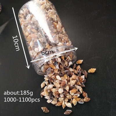 1 kutija 1000 komada Perle od prirodne bež školjke morske školjke Izrada Cowry Cowrie Plemenski nakit Zanatski dodaci morska zvijezda