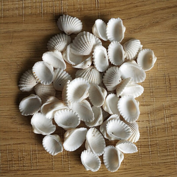 100 τμχ Μικτό πολύχρωμο κοχύλι με τρύπα από χτένι, φυσικό κοχύλι από το Sea Beach Large Shell with Holes for DIY Art Craft Decor