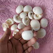30db Natúr fehér héjú kagylólyuk, lakberendezési akvárium, kiegészítők DIY Beads Cowrie a Sea Beach-ről