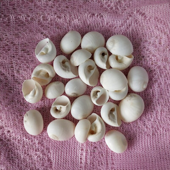 30 τμχ Φυσική τρύπα από κοχύλι από λευκό κέλυφος, δεξαμενή ψαριών διακόσμησης σπιτιού, αξεσουάρ DIY Beads Cowrie from Sea Beach