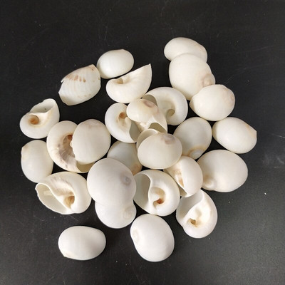 30db Natúr fehér héjú kagylólyuk, lakberendezési akvárium, kiegészítők DIY Beads Cowrie a Sea Beach-ről