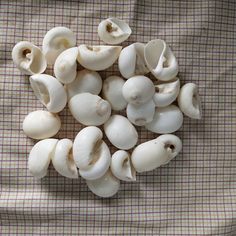 30db Natúr fehér héjú kagylólyuk, lakberendezési akvárium, kiegészítők DIY Beads Cowrie a Sea Beach-ről
