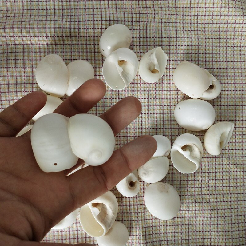 30db Natúr fehér héjú kagylólyuk, lakberendezési akvárium, kiegészítők DIY Beads Cowrie a Sea Beach-ről