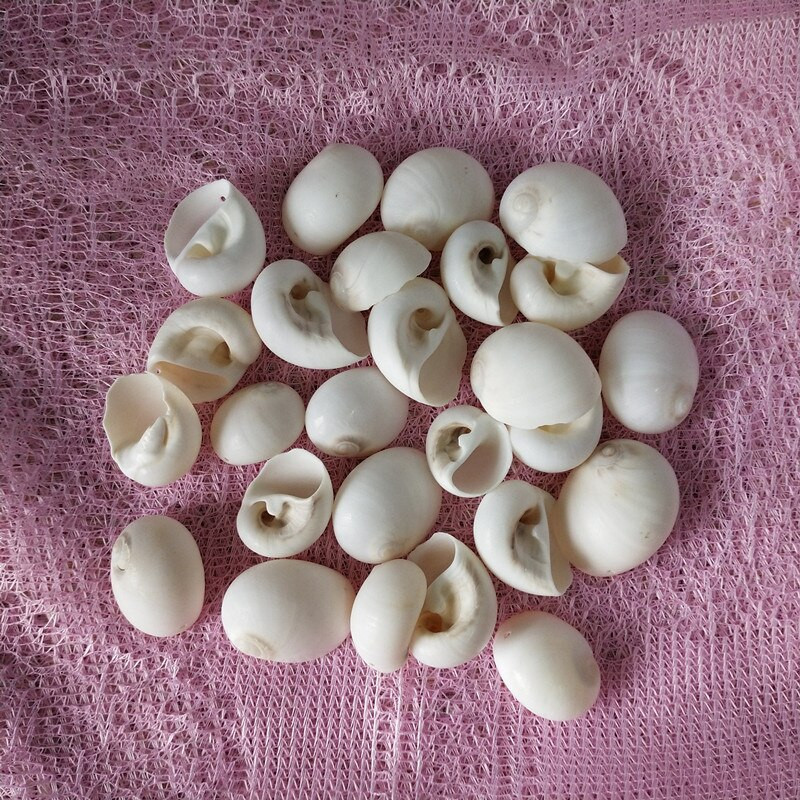 30db Natúr fehér héjú kagylólyuk, lakberendezési akvárium, kiegészítők DIY Beads Cowrie a Sea Beach-ről
