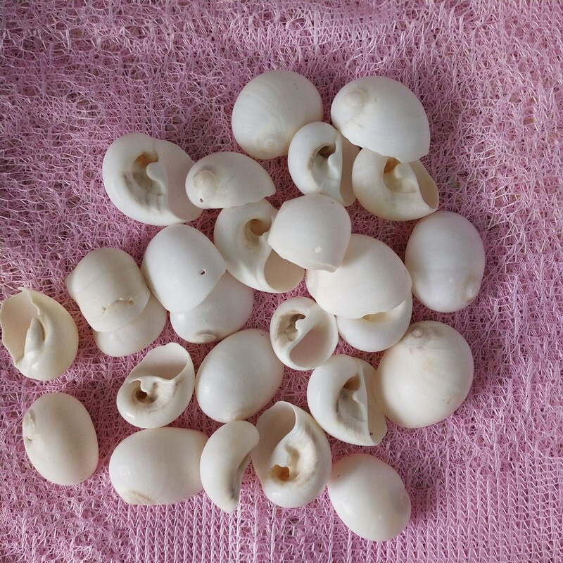 30db Natúr fehér héjú kagylólyuk, lakberendezési akvárium, kiegészítők DIY Beads Cowrie a Sea Beach-ről