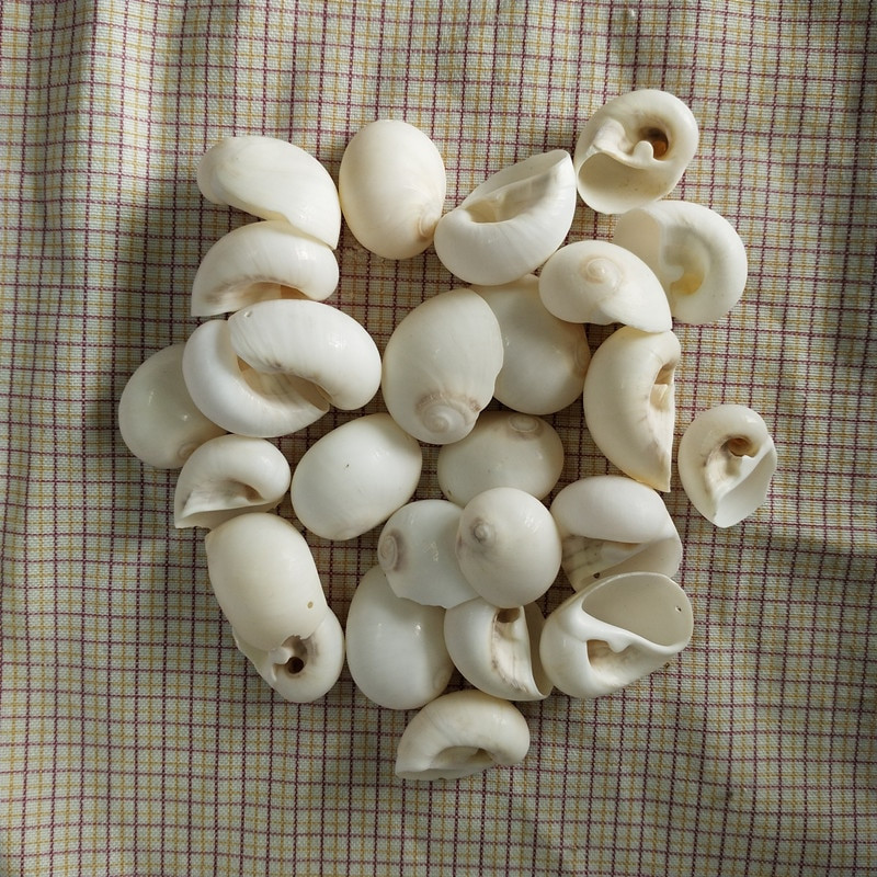 30db Natúr fehér héjú kagylólyuk, lakberendezési akvárium, kiegészítők DIY Beads Cowrie a Sea Beach-ről