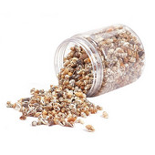 IBOWS 200g Cochilii de mare amestecate Cochilii de mare naturale asortate Artizanat Conch Decorare DIY pentru Proiect de artă și meșteșuguri