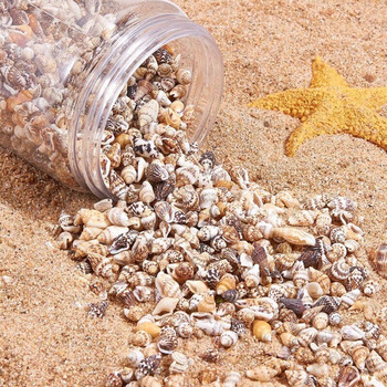 IBOWS 200g Mixed Sea Shells Assorted Natural Seashells Conch Crafts DIY Decoration for Arts & Crafts Project