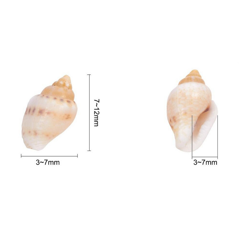 IBOWS 200g Cochilii de mare amestecate Cochilii de mare naturale asortate Artizanat Conch Decorare DIY pentru Proiect de artă și meșteșuguri