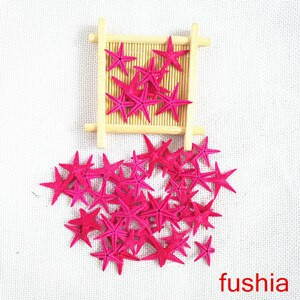 Happy Kiss 50 tk/partii isetehtud naturaalne väike meritäht triivpudelitarvikud mini meritäht naturaalne käsitöö värvide segu merekarbid