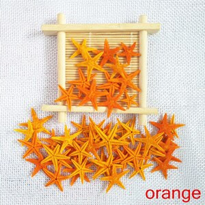 Happy Kiss 50 tk/partii isetehtud naturaalne väike meritäht triivpudelitarvikud mini meritäht naturaalne käsitöö värvide segu merekarbid