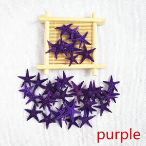 Happy Kiss 50 tk/partii isetehtud naturaalne väike meritäht triivpudelitarvikud mini meritäht naturaalne käsitöö värvide segu merekarbid