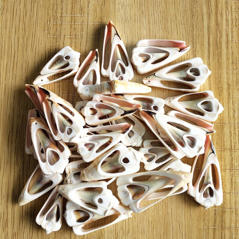 30 de bucăți de scoici de cauri naturală de scoici spirale naturale felii tăiate netedă scoici de plajă margele cu găuri Fabricarea de bijuterii