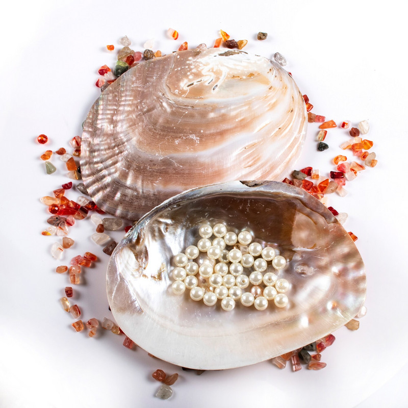 2 DB/Szett Gyöngyök Natural Beach Abalone Shell gyűjthető táj értékes dekoráció, kézműves kagyló ékszertartó