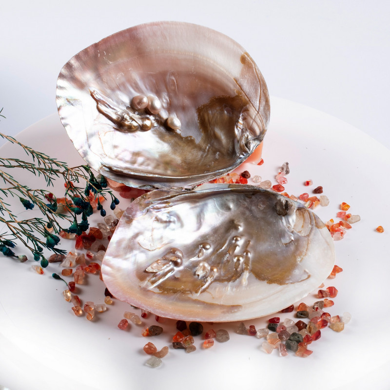 2 DB/Szett Gyöngyök Natural Beach Abalone Shell gyűjthető táj értékes dekoráció, kézműves kagyló ékszertartó