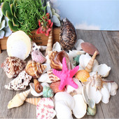 500g /Bag Beach SeaShells Mix Sea Shells Shell Nature SeaShell Akvárium tengeri dekoráció