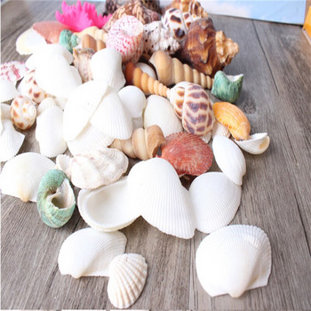 500g /чанта Beach SeaShells Mix Sea Shells Shell Nature SeaShell Аквариум Морска декорация