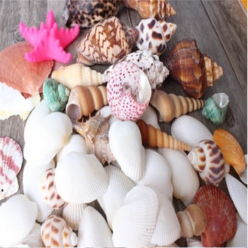 500g /чанта Beach SeaShells Mix Sea Shells Shell Nature SeaShell Аквариум Морска декорация