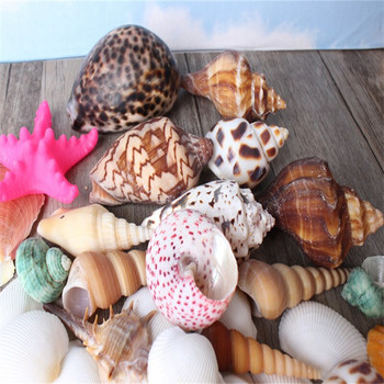 500g /чанта Beach SeaShells Mix Sea Shells Shell Nature SeaShell Аквариум Морска декорация