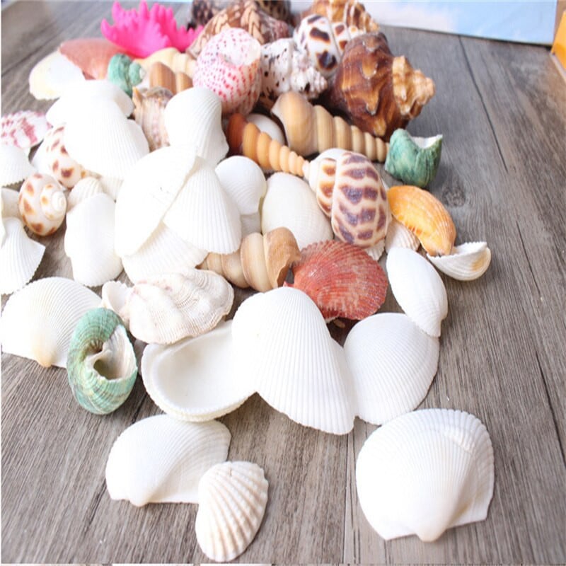 500g /Bag Beach SeaShells Mix Sea Shells Shell Nature SeaShell Akvárium tengeri dekoráció