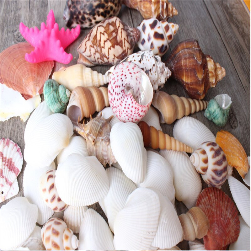 500g /Bag Beach SeaShells Mix Sea Shells Shell Nature SeaShell Akvárium tengeri dekoráció