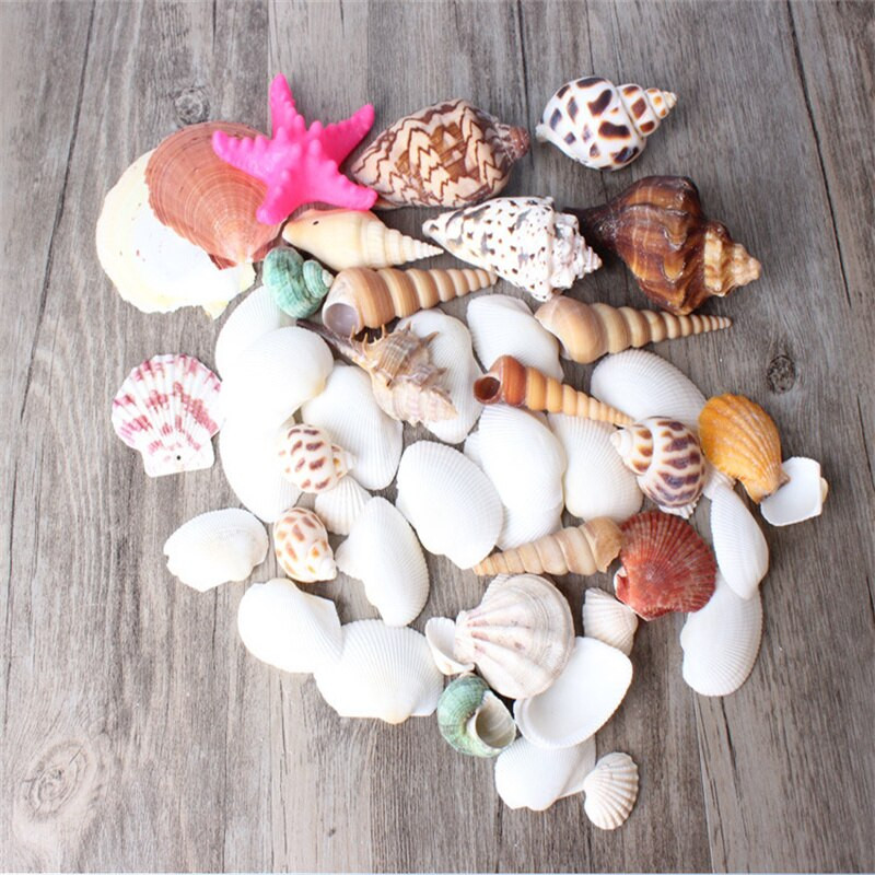 500g /Bag Beach SeaShells Mix Sea Shells Shell Nature SeaShell Akvárium tengeri dekoráció