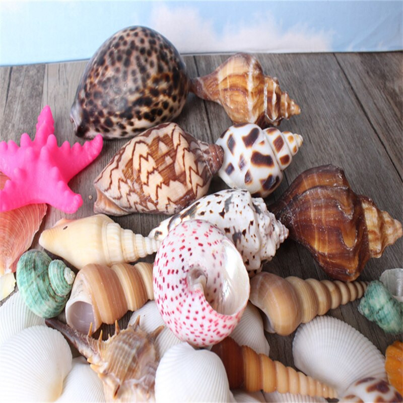 500g /Bag Beach SeaShells Mix Sea Shells Shell Nature SeaShell Akvárium tengeri dekoráció