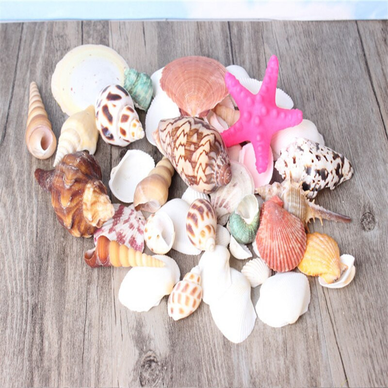 500g /Bag Beach SeaShells Mix Sea Shells Shell Nature SeaShell Akvárium tengeri dekoráció