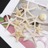 5-8cm 4db kis Starfish Beach Craft Natural Sea Stars kézműves dekoráció barkács kézzel készített kiegészítők