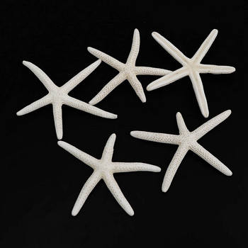 5-8cm 4τμχ μικρό Starfish Beach Craft Natural Sea Stars Craft Διακόσμηση DIY Χειροποίητα Αξεσουάρ
