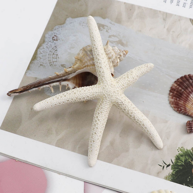 5-8cm 4db kis Starfish Beach Craft Natural Sea Stars kézműves dekoráció barkács kézzel készített kiegészítők