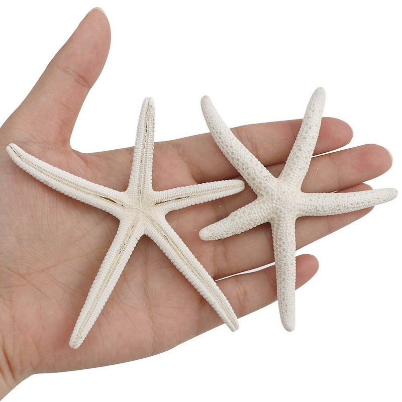 5-8cm 4db kis Starfish Beach Craft Natural Sea Stars kézműves dekoráció barkács kézzel készített kiegészítők